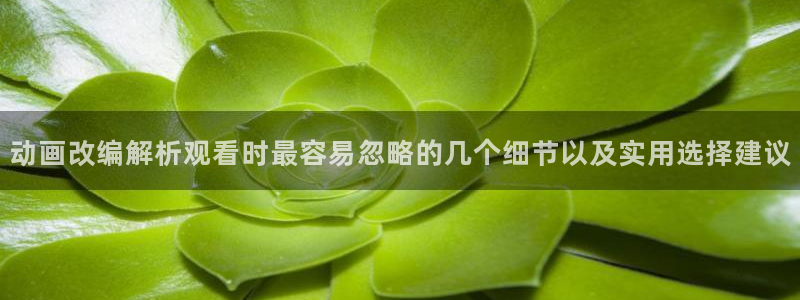 动漫在线观看推荐：动画改编解析观看时最容易忽略的几个细节以及实用选择建议